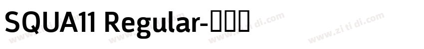 SQUA11 Regular字体转换